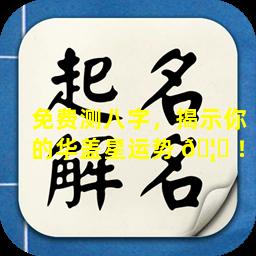 免费测八字，揭示你的华盖星运势 🦍 ！